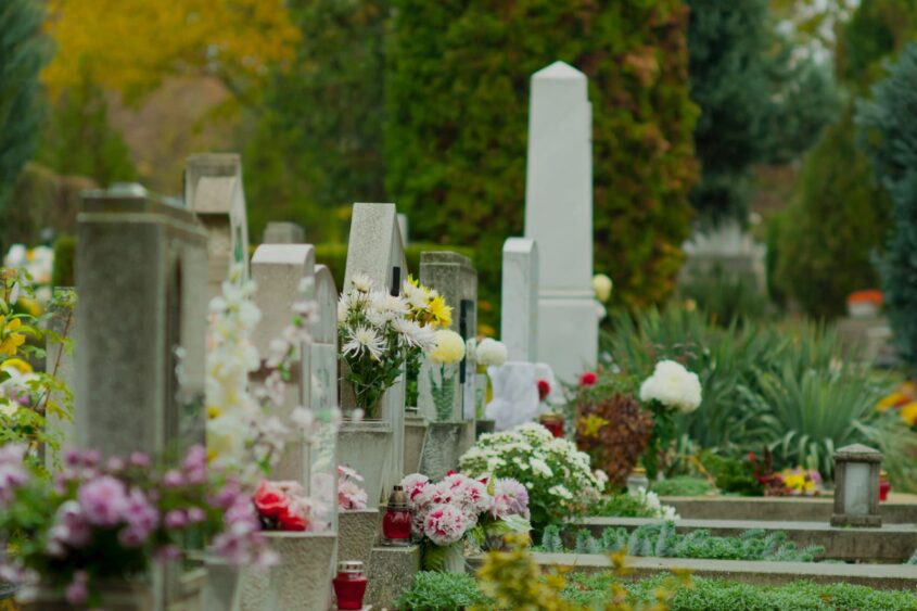 TEST Mentoring Programme